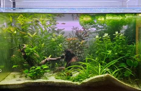 19-30 Licht aus.webp