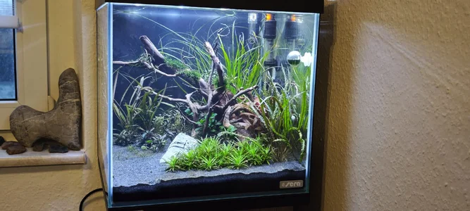 WhatsApp Image 2026-02-24 at 07.26.04.webp