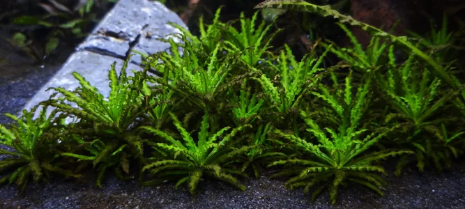 WhatsApp Image 2026-02-24 at 07.26.04 (2).webp