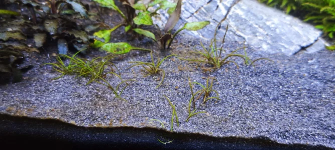 WhatsApp Image 2026-02-24 at 07.26.04 (3).webp