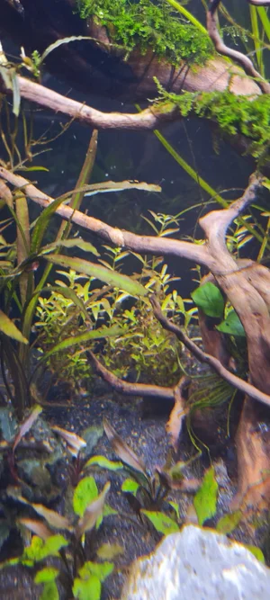 WhatsApp Image 2026-02-24 at 07.26.04 (4).webp