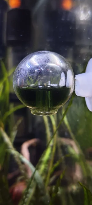 WhatsApp Image 2026-02-24 at 07.26.03.webp