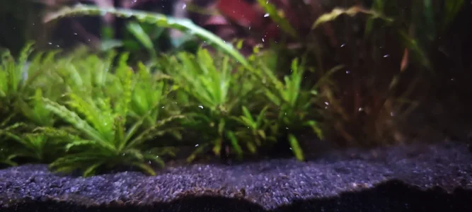 WhatsApp Image 2026-02-24 at 18.21.15.webp