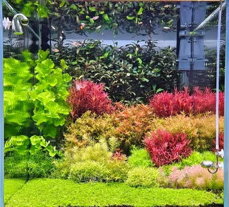 Costa Blanca 27.02.26.webp