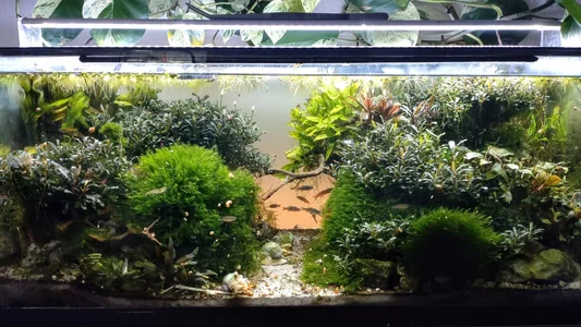 01-03-26.webp 01-03-26.webp