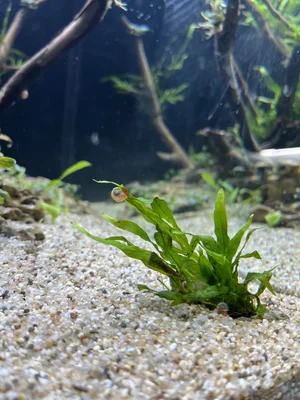 IMG_9034.webp IMG_9034.webp