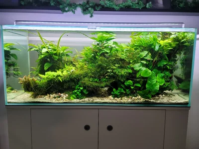 20260113_182103.webp 20260113_182103.webp