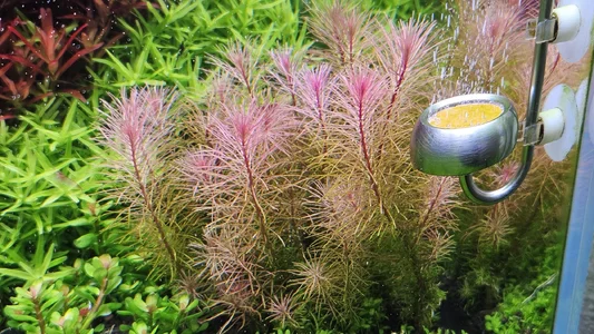 WhatsApp Image 2026-03-03 -2 at 10.43.38.webp