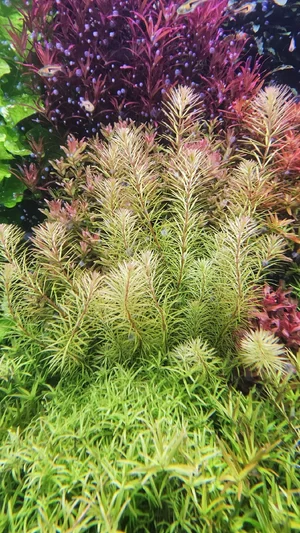 WhatsApp Image 2026-03-03 at 10.43.38.webp