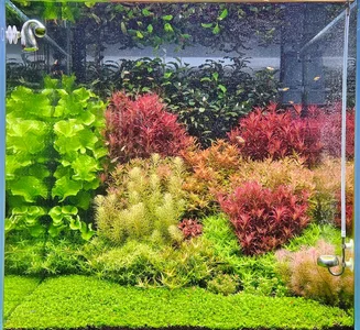 WhatsApp Image 2026-03-03 at 10.40.47.webp