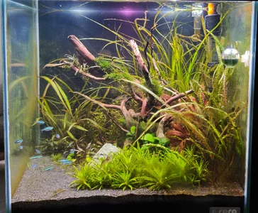 WhatsApp Image 2026-03-06 at 08.54.29.webp