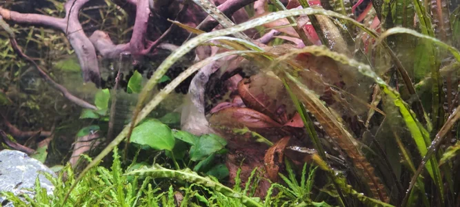 WhatsApp Image 2026-03-06 at 08.48.37 (2).webp