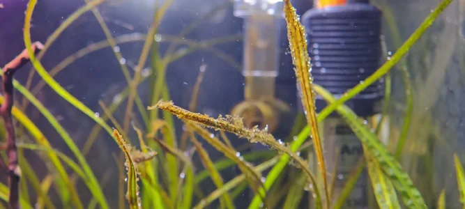 WhatsApp Image 2026-03-06 at 08.48.37 (1).webp