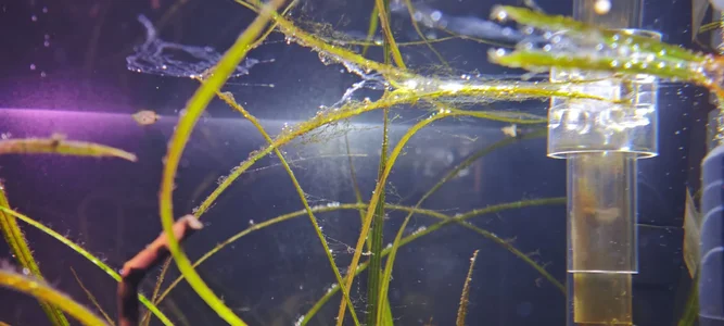 WhatsApp Image 2026-03-06 at 08.48.37.webp