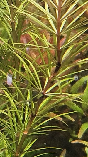 WhatsApp Image 2026-03-07 at 12.24.09 (2).webp