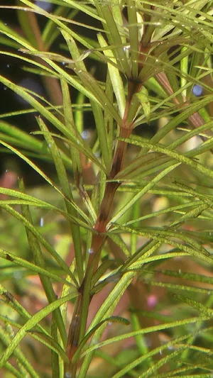 WhatsApp Image 2026-03-07 at 12.24.09.webp