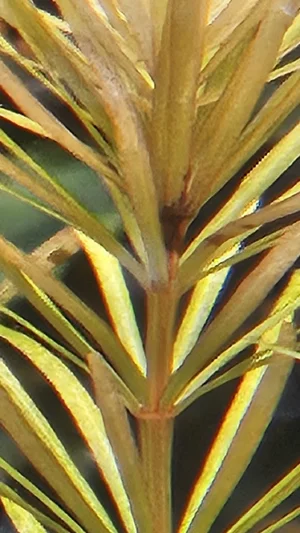 WhatsApp Image 2026-03-07 at 12.24.08 (1).webp