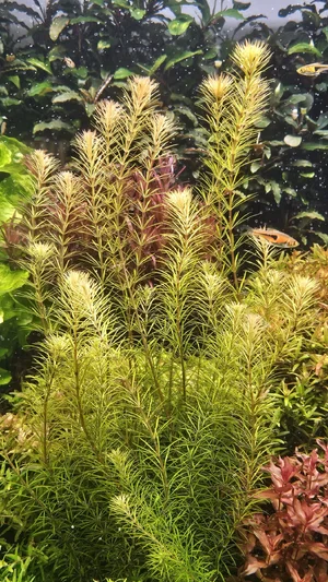 WhatsApp Image 2026-03-07 at 12.24.08.webp