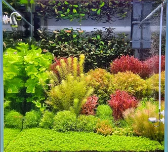 WhatsApp Image 2026-03-07 at 12.29.35.webp