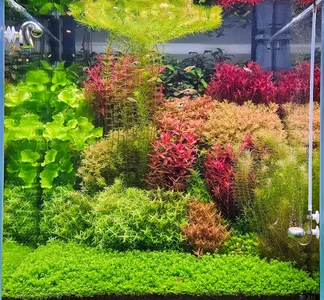 WhatsApp Image 2026-03-20 at 12.56.50.webp