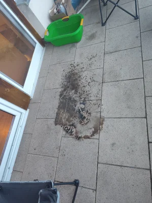 IMG_20260317_182346.webp IMG_20260317_182346.webp