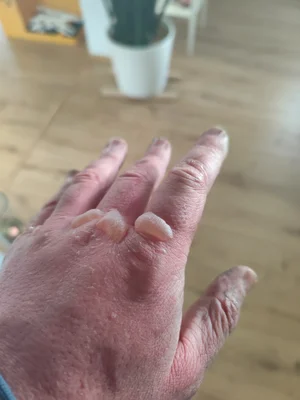 IMG_20260313_171309.webp IMG_20260313_171309.webp