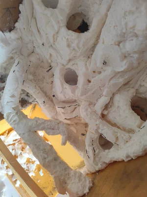 IMG_20260321_170931.webp IMG_20260321_170931.webp