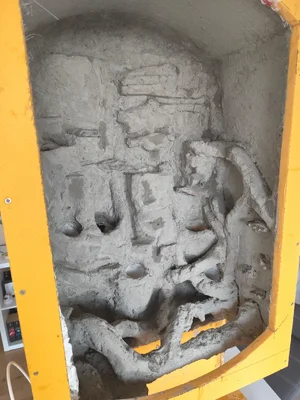 IMG_20260324_083648.webp IMG_20260324_083648.webp