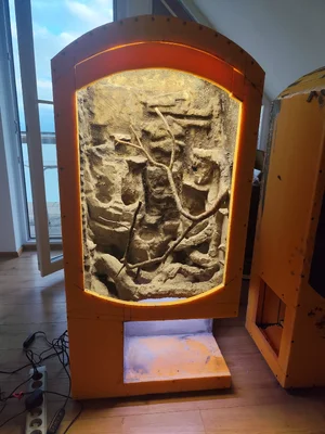 IMG_20260325_175049.webp IMG_20260325_175049.webp