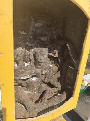 IMG_20260329_133954.webp IMG_20260329_133954.webp