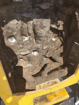 IMG_20260329_133941.webp IMG_20260329_133941.webp