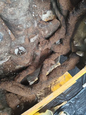 IMG_20260329_130620.webp IMG_20260329_130620.webp