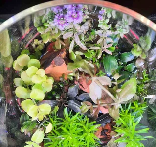 2026-03-31-Wabi Sabi 1.webp 2026-03-31-Wabi Sabi 1.webp