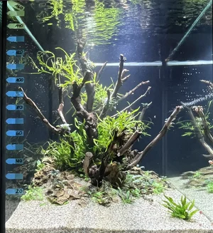 IMG_9372.webp IMG_9372.webp