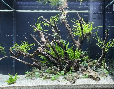 IMG_9371.webp IMG_9371.webp