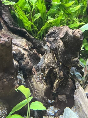 IMG_9368.webp IMG_9368.webp