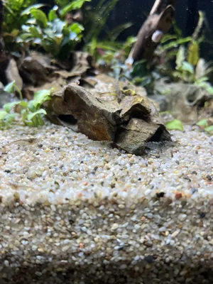 IMG_9364.webp IMG_9364.webp