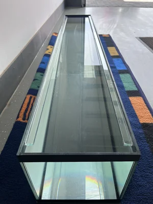 IMG_9393.webp IMG_9393.webp