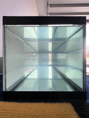 IMG_9395.webp IMG_9395.webp