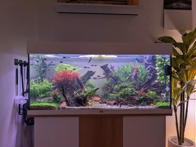 Aquarium 10.02.2026.webp