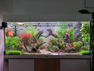 Aquarium 11.03.2026.webp