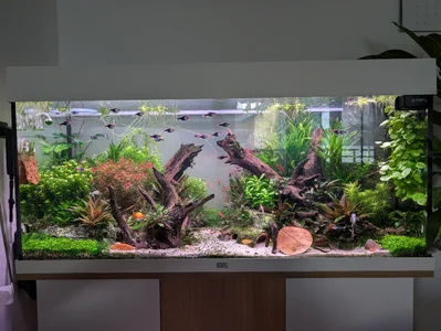 Aquarium 18.04.2026.webp