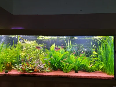 Becken 18.04..webp