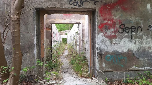 Rügen Mai 2026-2.webp