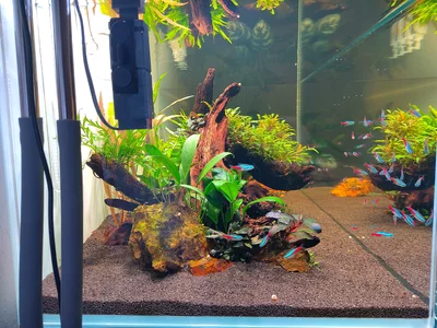 IMG_20260531_163604.webp