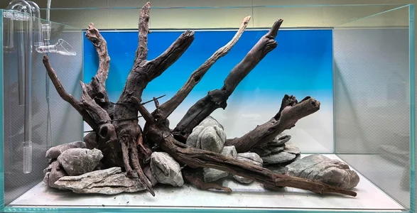 hardscape.webp