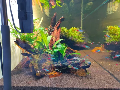 IMG_20260612_204315.webp