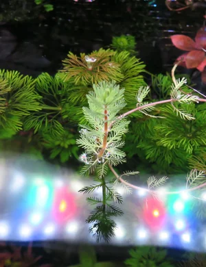 IMG_5693.webp