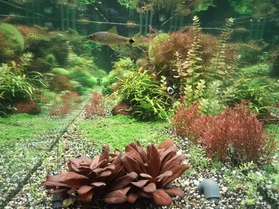 20261005_Aq500L_2.webp