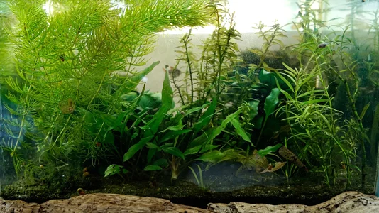 Testaquarium 11.10.2026-1.webp Testaquarium 11.10.2026-1.webp